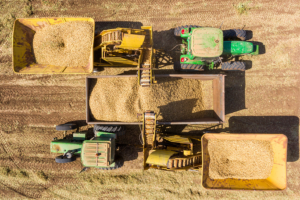 Peanut Harvest Transport