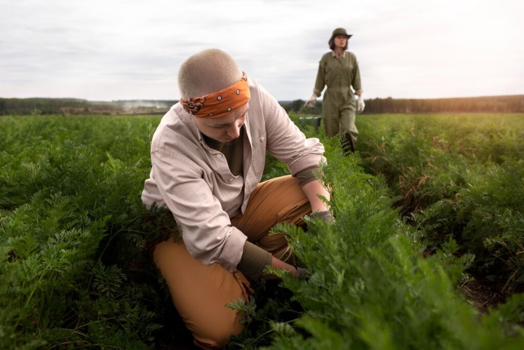 Peanut Farming in Georgi